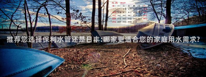 威九国际ppt免费下载