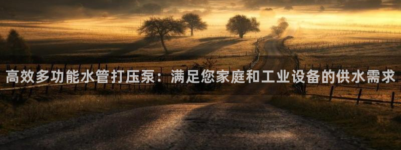 威九国际网站安全吗可靠吗