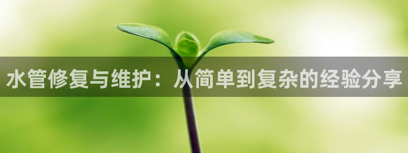威九国际里的长头发帅哥名字