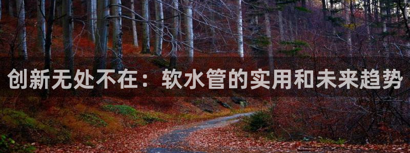 威九国际精忐