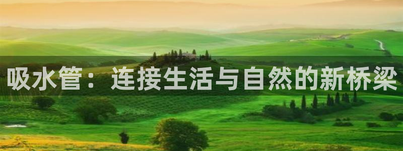 威九国际清砖码头怎么样