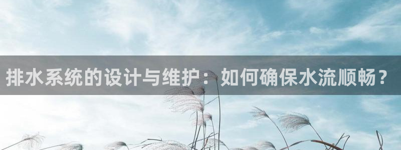 威九国际安全吗