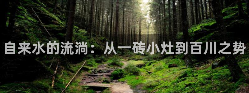 威九cp