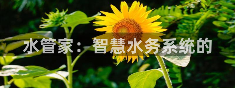 威九国际女演员好漂亮